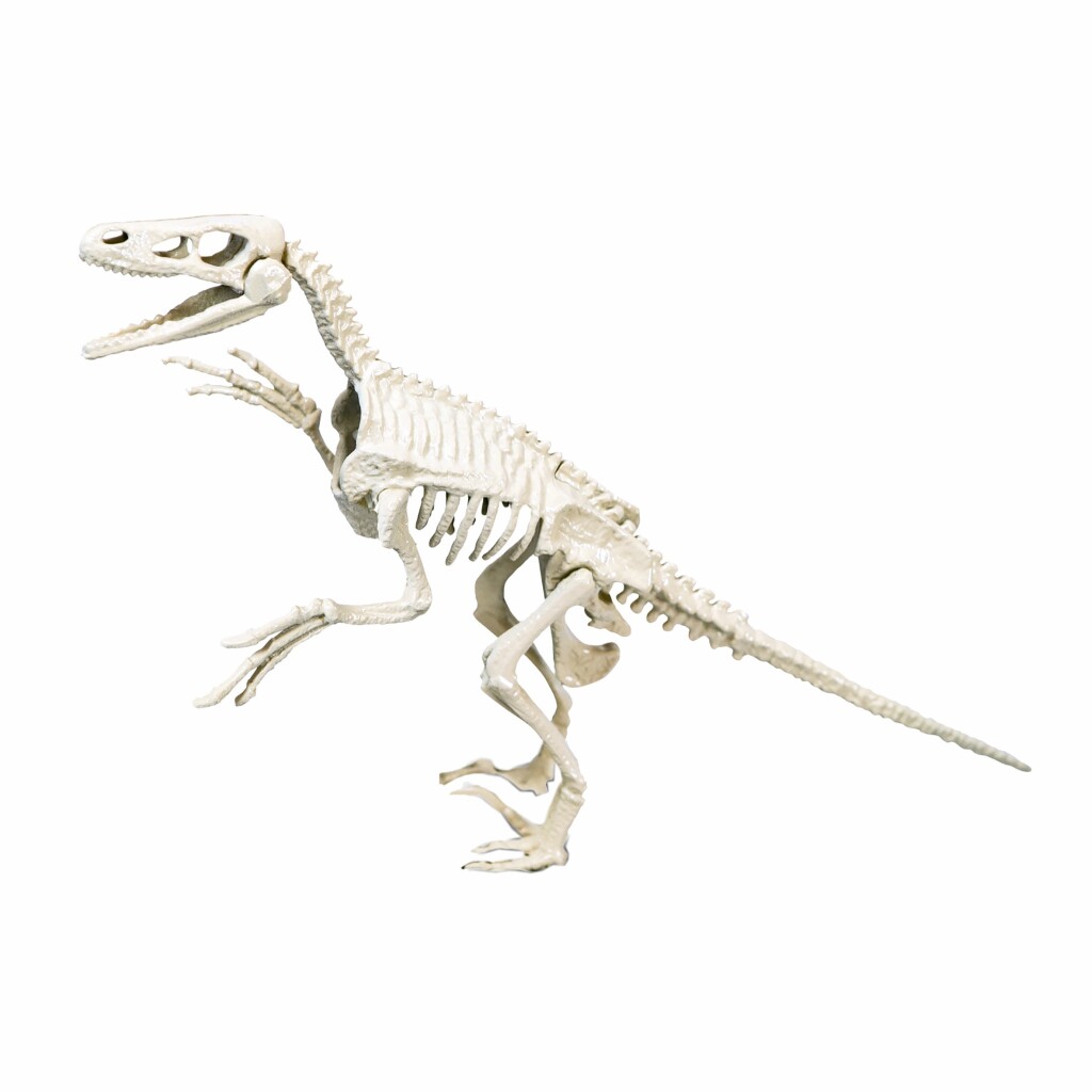 Clementoni Archeospel Velociraptor - Speelgoed - Clementoni- 7.45€ bij Bobby &amp; Caro